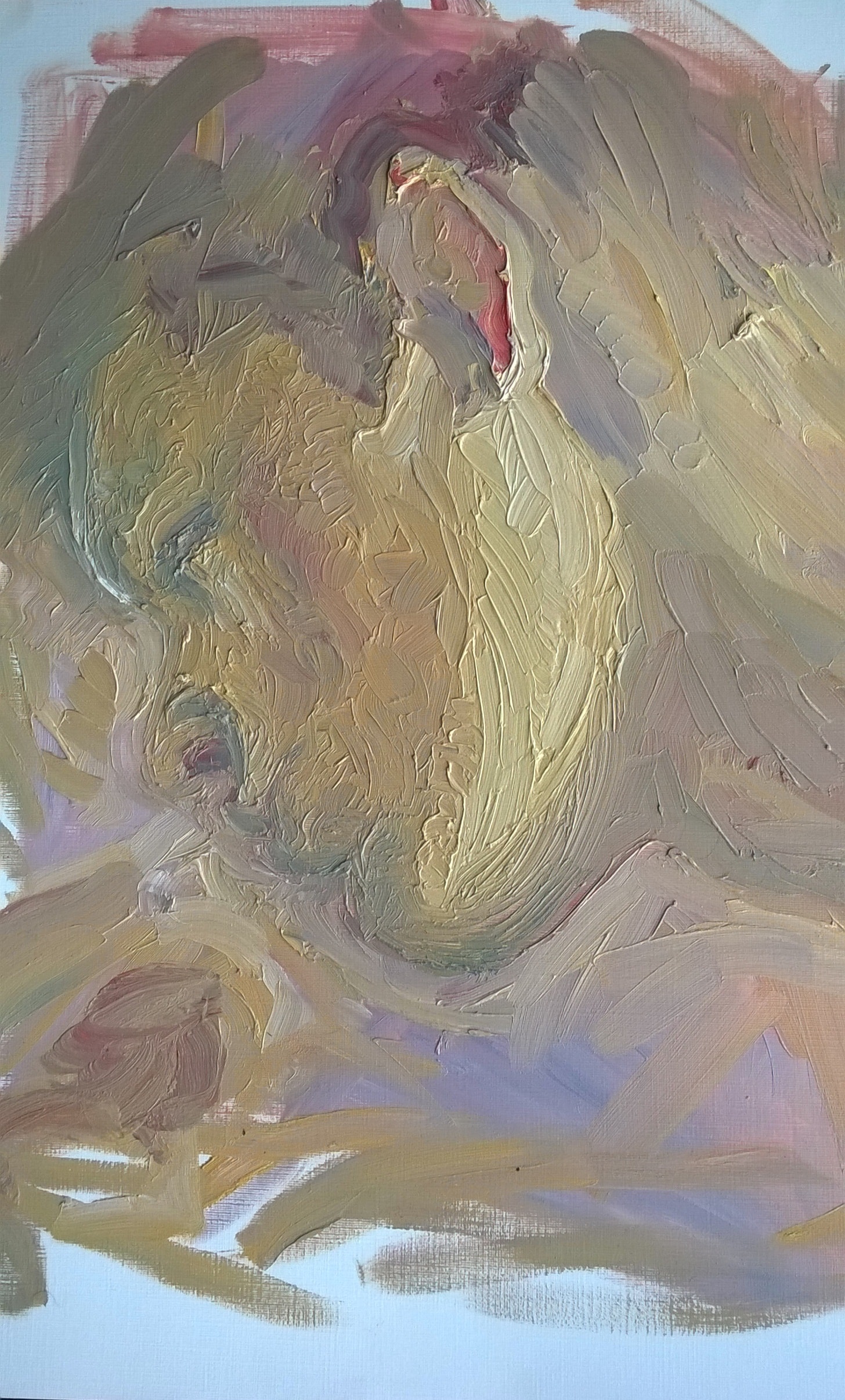 Portrait in red 40x50 ca